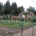 French Vegetable Garden