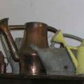 Antique Watering Cans
