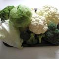Brassica Collection