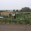 French Allotment 2