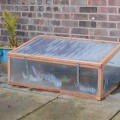 Chestnut and Twinwall Polycarb Coldframe