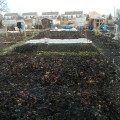 View 'up' the plot from the compost bins.