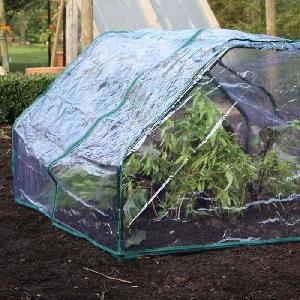 1m Square Cloche from Cold Frames, Cloches & Rhubarb Forcers