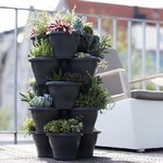 Wall & Vertical Planters