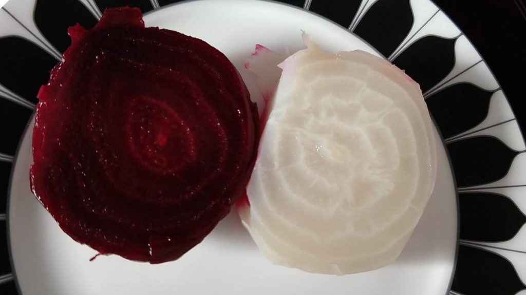 Red and White Beet Root