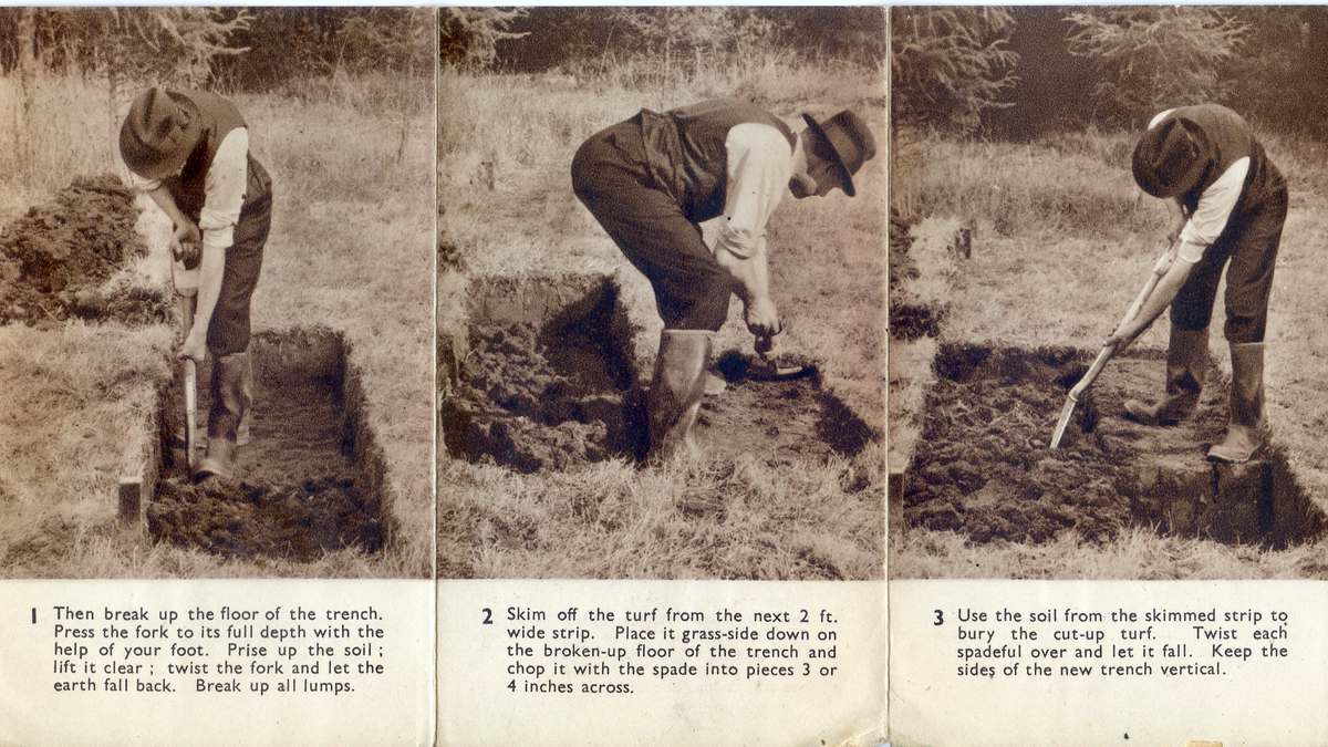 No-Dig Gardening vs. Digging - Allotment Garden Diary