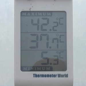 Thermometer Reading 42.2 Max