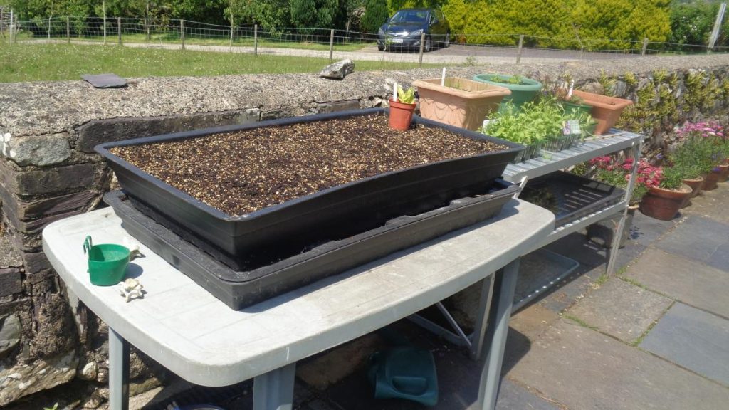 Salad Wicking Bed