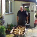 Man pushing wheelbarrow full of potatoes