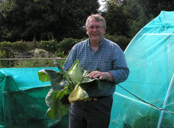 How to Grow Great Leaf Brassicas - Allotment & Gardens
