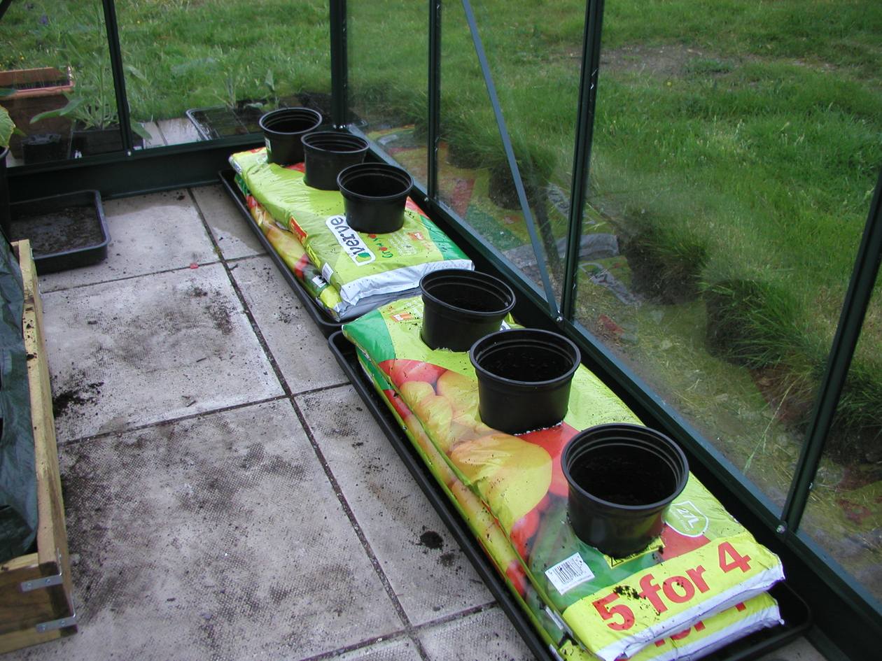 Grow Your Veggies in a Bag This Summer | Lifehacker