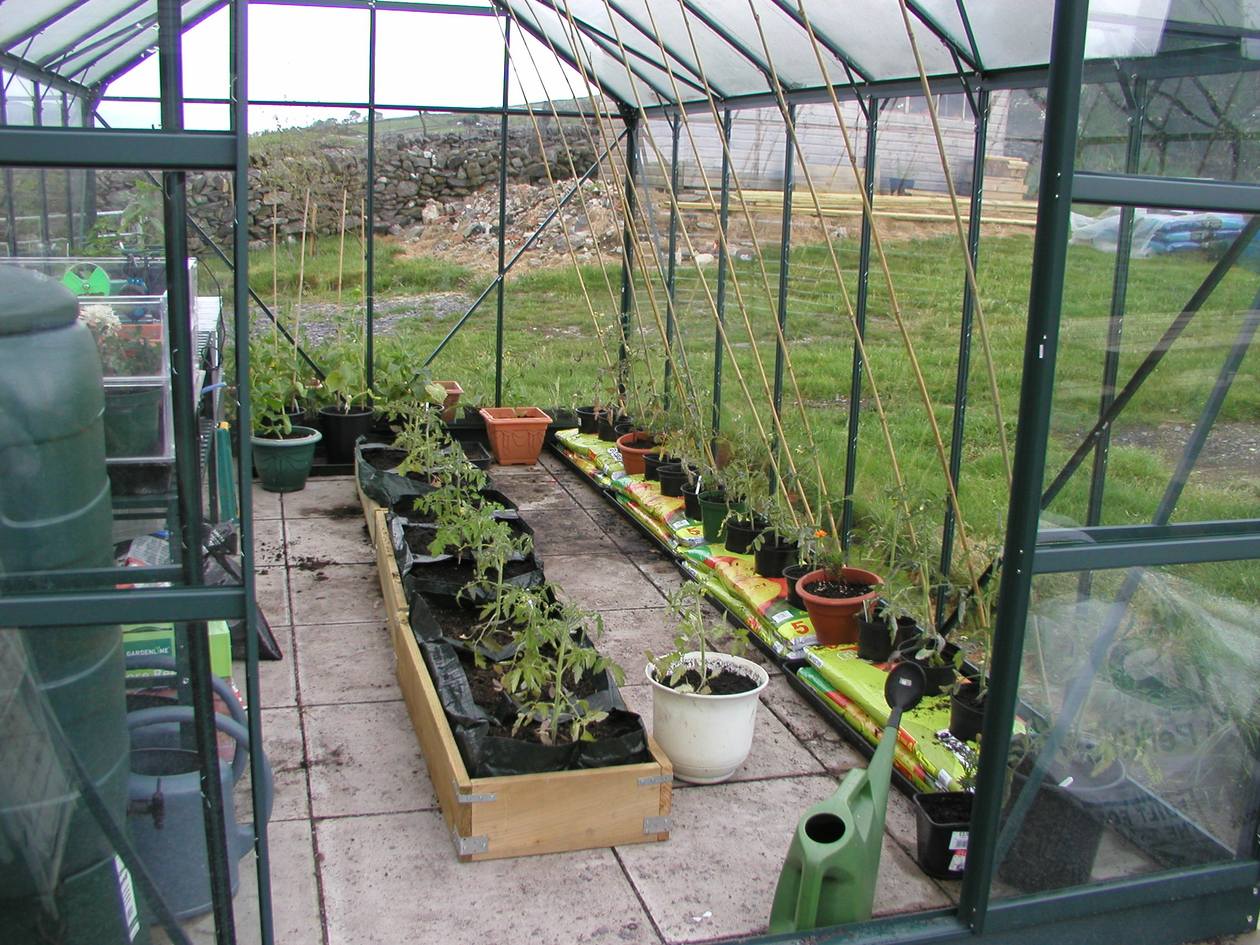 https://www.allotment-garden.org/wp-content/uploads/2016/04/Tomato-Growbags-Pots-Containers.jpg